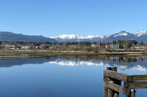 IMG_7845